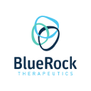 BlueRock Therapeutics Logo