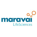 Maravai LifeSciences Logo